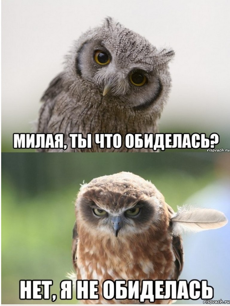 Картинки я подумаю обидеться или нет
