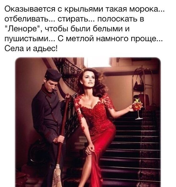 Оказывается с крыльями такая. Оказывается с крыльями такая морока. Оказывается с крыльями такая морока отбеливать картинки. Если мне обрежут крылья пересяду на метлу. С крыльями очень сложно приобрету метлу.