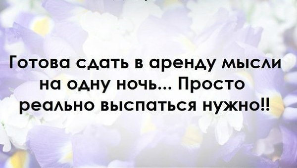 Сдам в аренду мысли на одну ночь хочу выспаться картинки