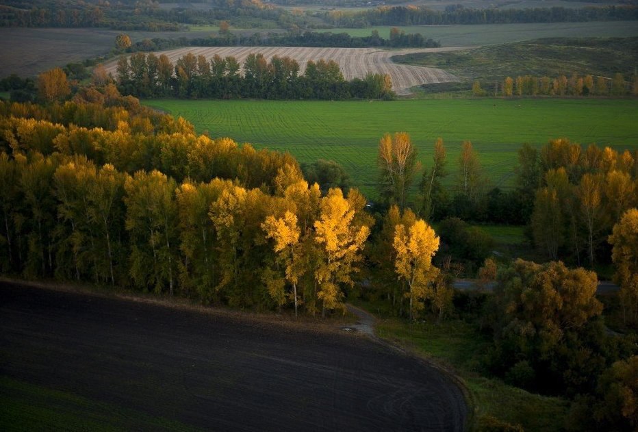 Осень в казахстане
