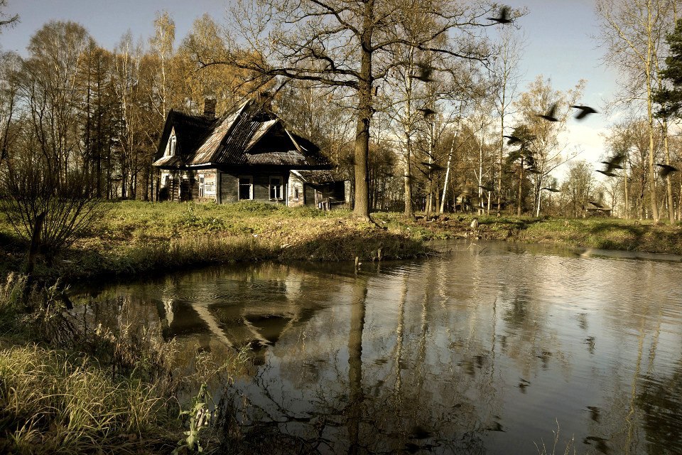 Деревни в ленинградской области фото