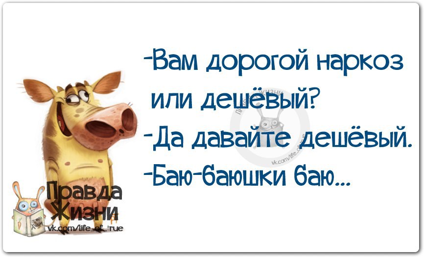 Любой случай жизни. Смешные фразы про жизнь. Умные фразы и цитаты смешные. Прикольные умные высказывания. Умные и смешные цитаты.