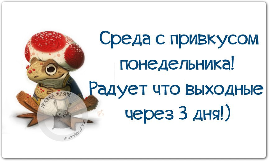 У меня уже день. Понедельник среда. Смешное про среду. Статус про среду. Фразы про среду.