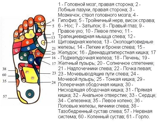 Болезни стопы человека в картинках подошвы ног