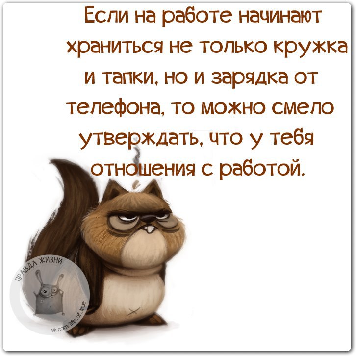 Шутка дня на сегодня про работу в картинках с надписями