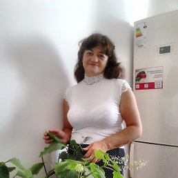 Наташа, 59 лет, Новошахтинск