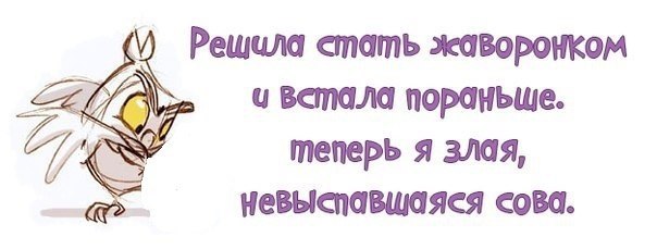 Невыспавшаяся сова картинки злая