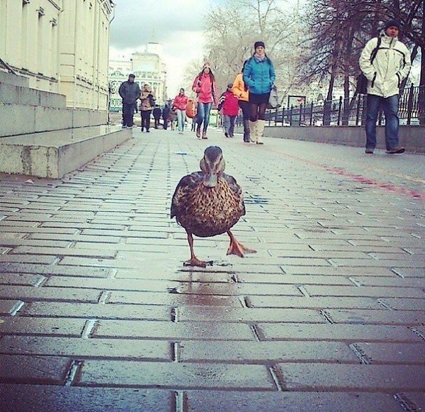 Открытки дню, новый город картинки прикол