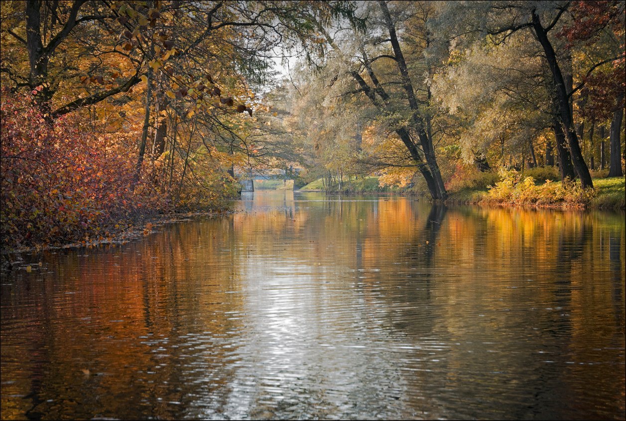 Елагин фото осенью красивые пейзажи
