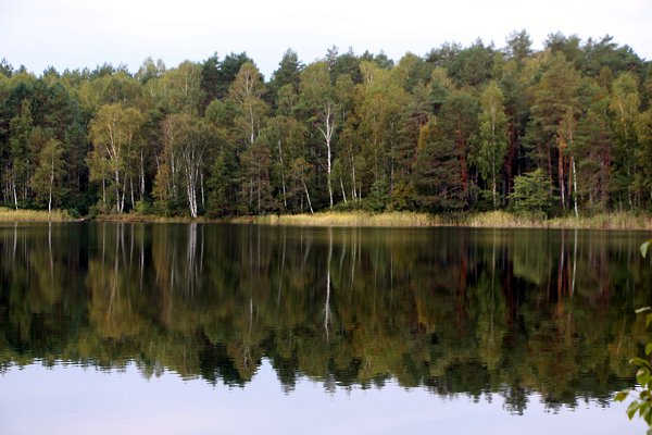 Озера брянской области