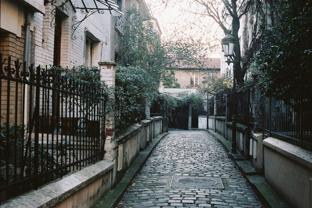 Брусчатка париж