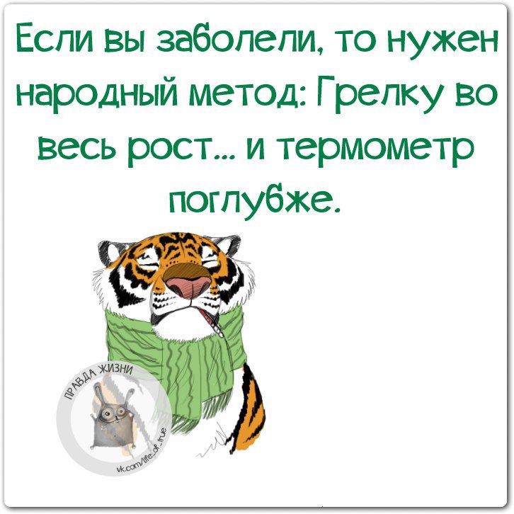 Грелка во весь рост приколы для женщин картинки