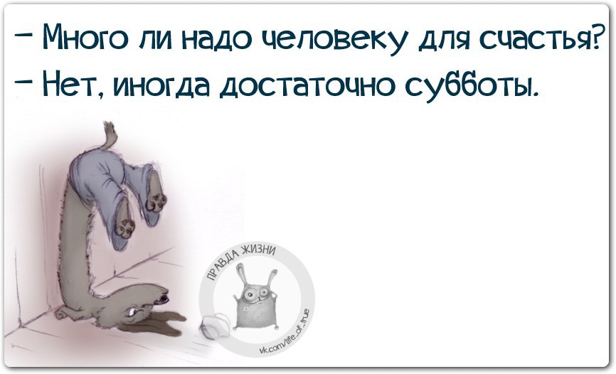 Шутки про субботу в картинках