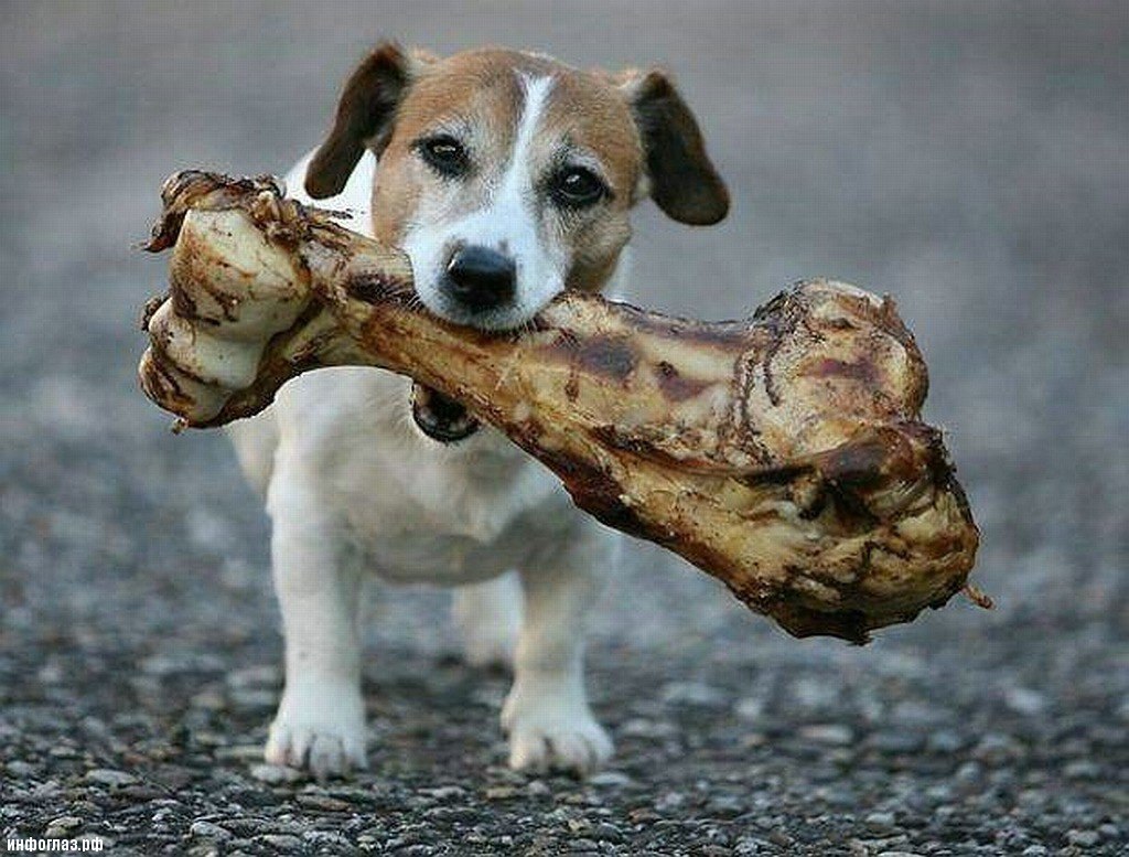 Победитель по жизни - Берегите природу, № 533994446 Фотострана - cайт знако...