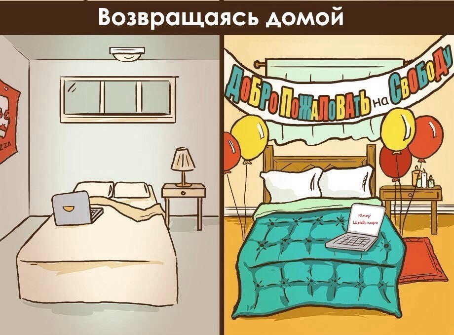 Бинго социофоба картинка