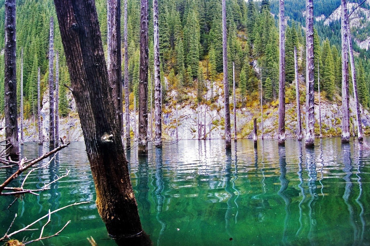 Озеро в Казахстане с затопленным лесом