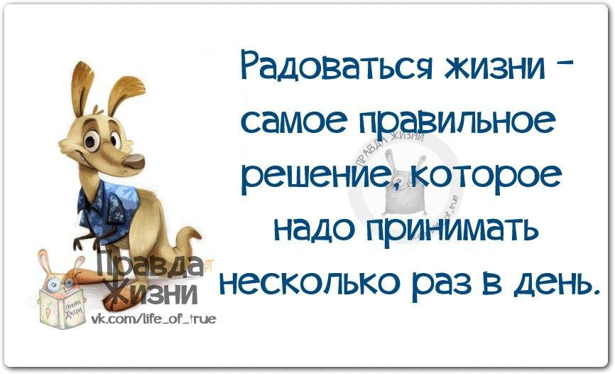 Радоваться жизни самое правильное решение которое надо принимать несколько раз в день картинка