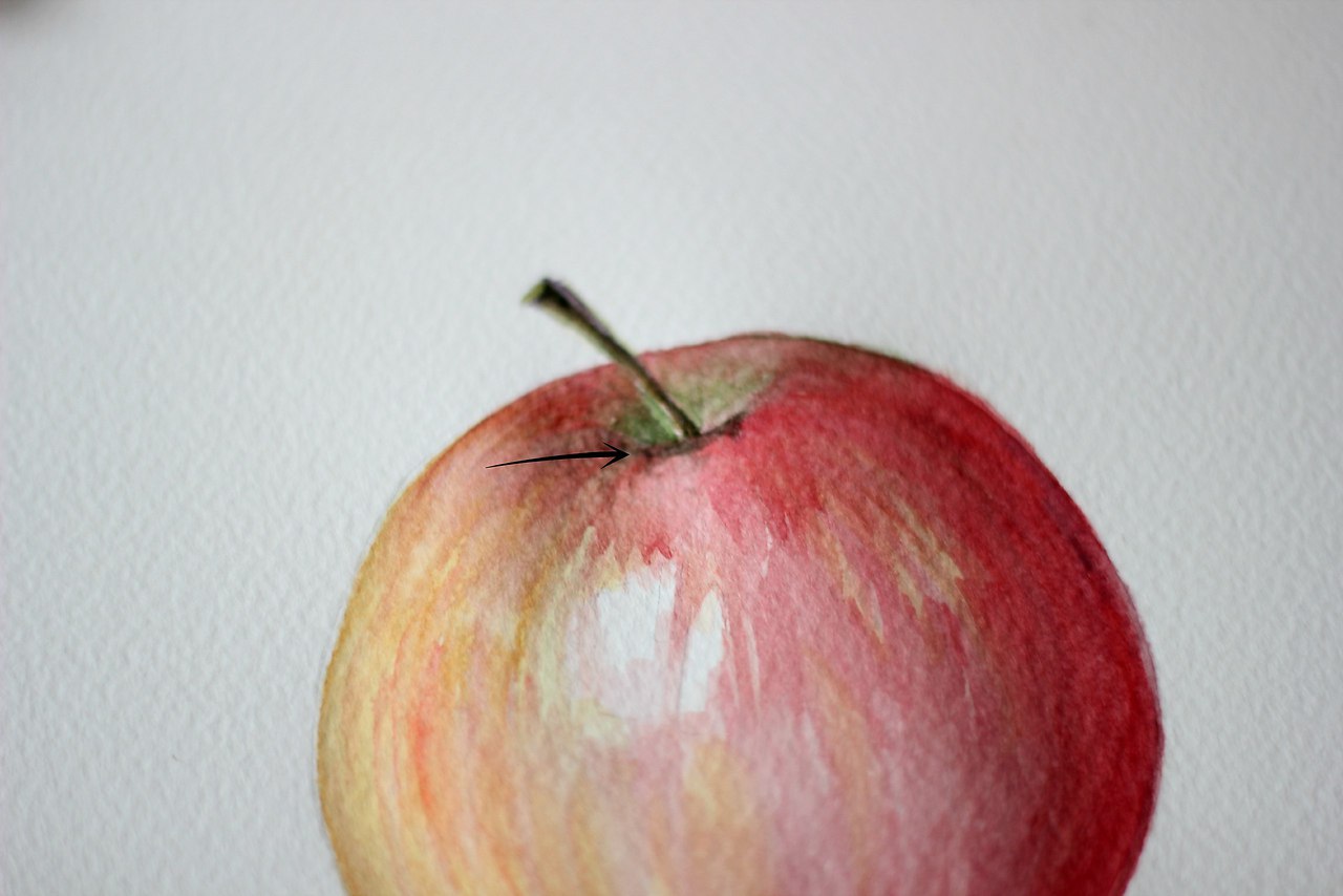 Яблоко по рисованию акварелью