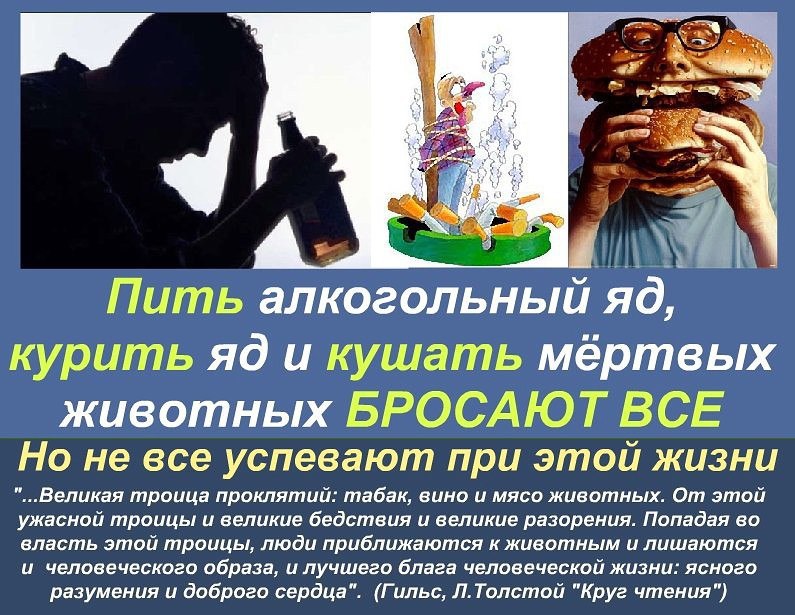 Пить и курить слушать. Пить и курить. Цитаты про алкоголизм. Пьянство это грех в православии.