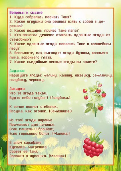 План ягоды средняя группа