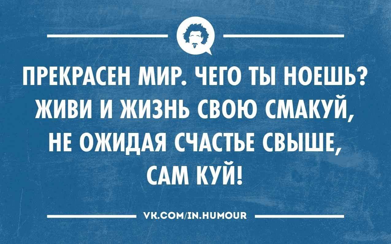 Интеллект юмор картинки