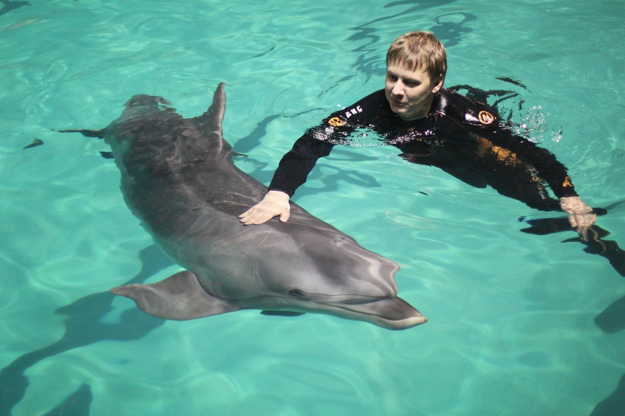 Дельфин москвариум москва. Центр плавания с дельфинами в Москвариуме. Дельфин Юки Москвариум. Дельфинарий на ВДНХ плавание с дельфинами. ВДНХ центр плавания с дельфинами.