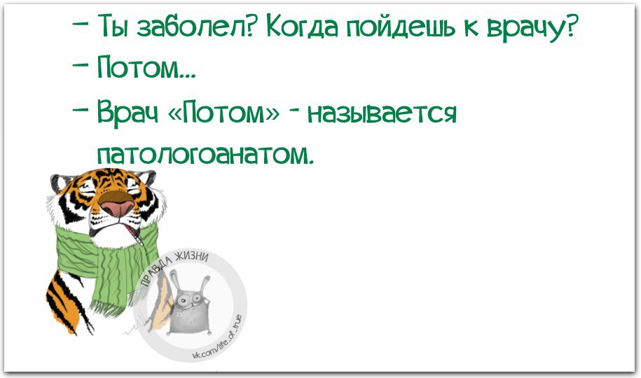 Хвост отваливается. То лапы ломит то хвост отваливается. Лапы ломит и хвост отваливается. А здоровье мое не очень то лапы ломит то хвост отваливается. Простоквашино то лапы ломит то хвост отваливается.