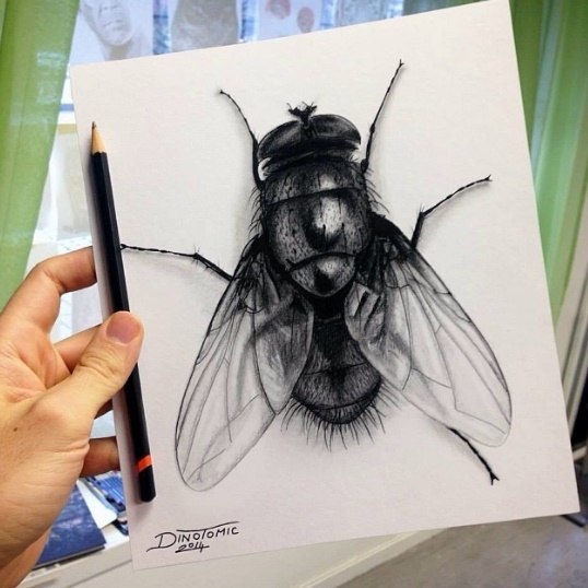 Dino tomic рисунки