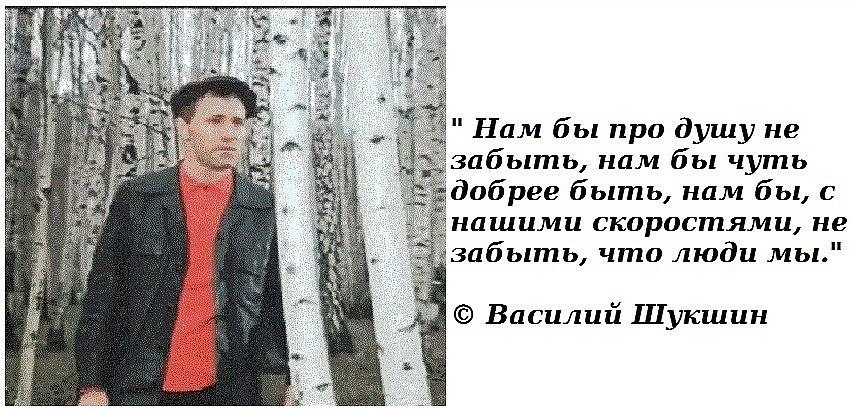 Чуть суть. Василий Шукшин цитаты нам бы про душу не забыть. Шукшин нам бы добрее быть. Нам бы про душу не забыть Шукшин. Шукшин у березы.