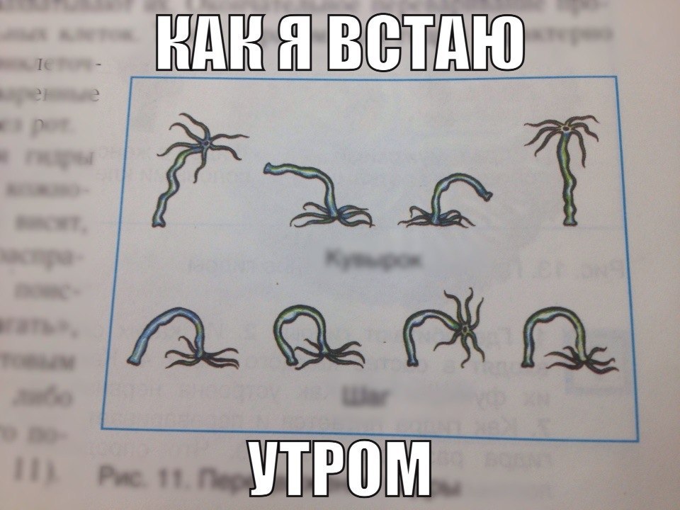 Биологические приколы в картинках