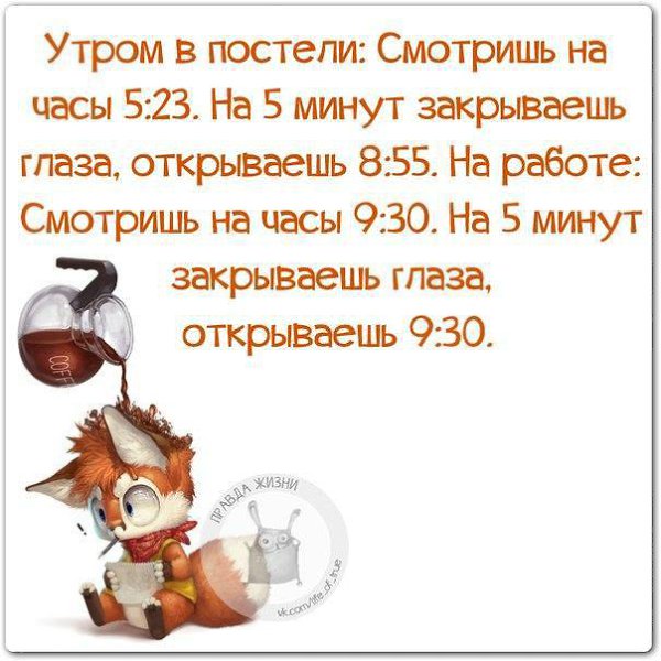 Правда жизни картинки прикольные новые