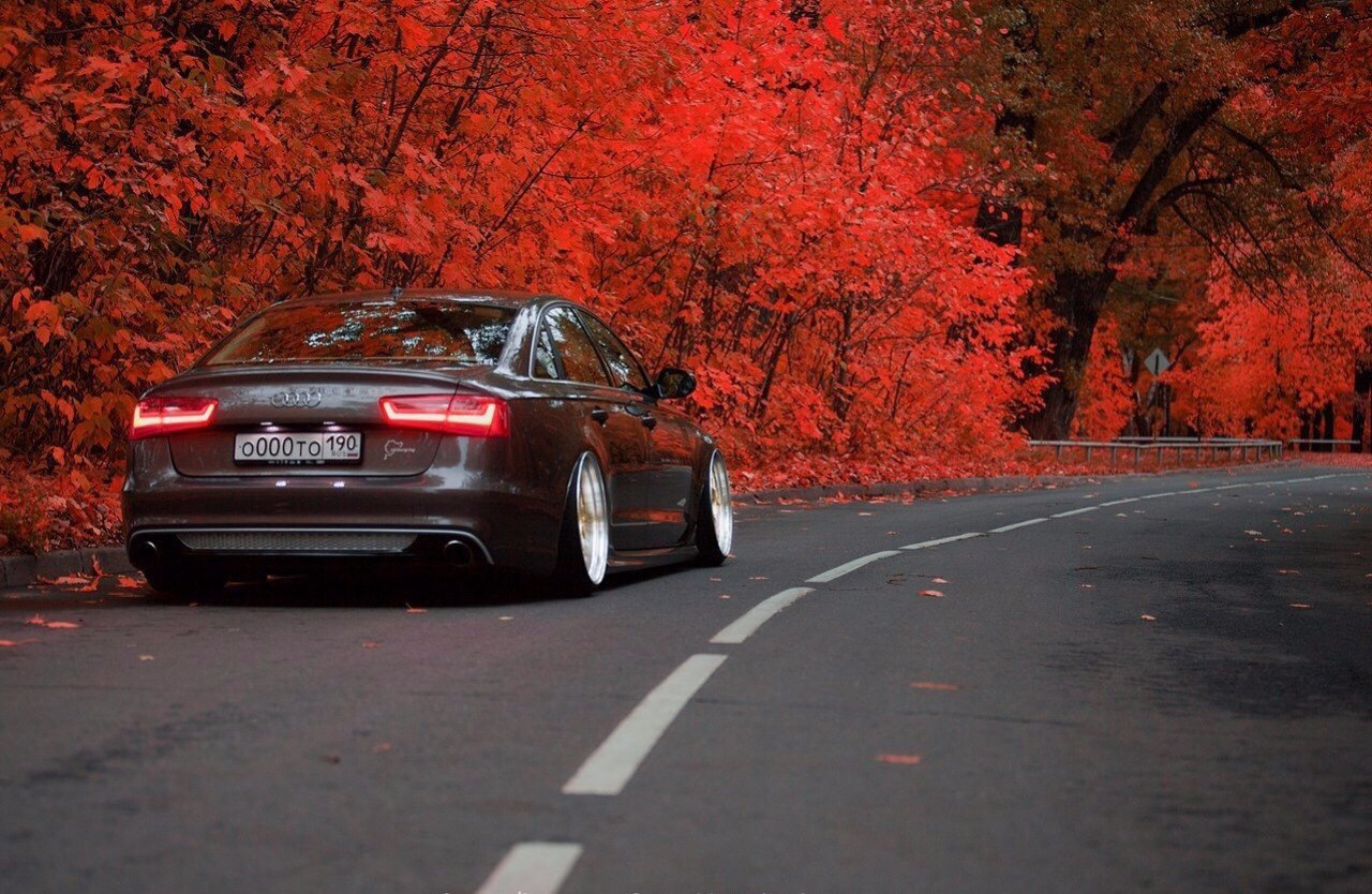 Осень Audi а8