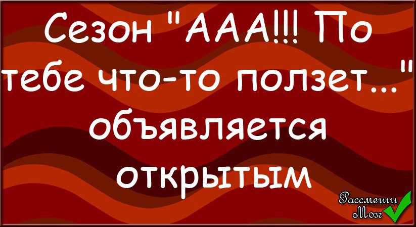 Сезон по тебе что то ползет объявляется открытым картинки