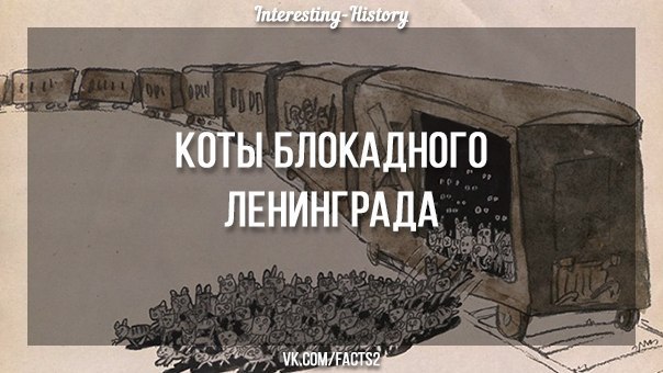 Коты блокадного ленинграда презентация