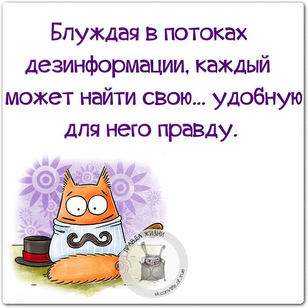 Для новогодних, правда и жизнь смешные высказывания в картинках
