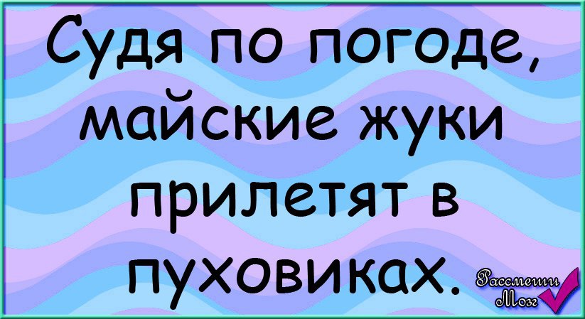 Майские жуки прилетят в пуховиках картинки