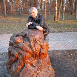 Сергей, 64 года, Миргород