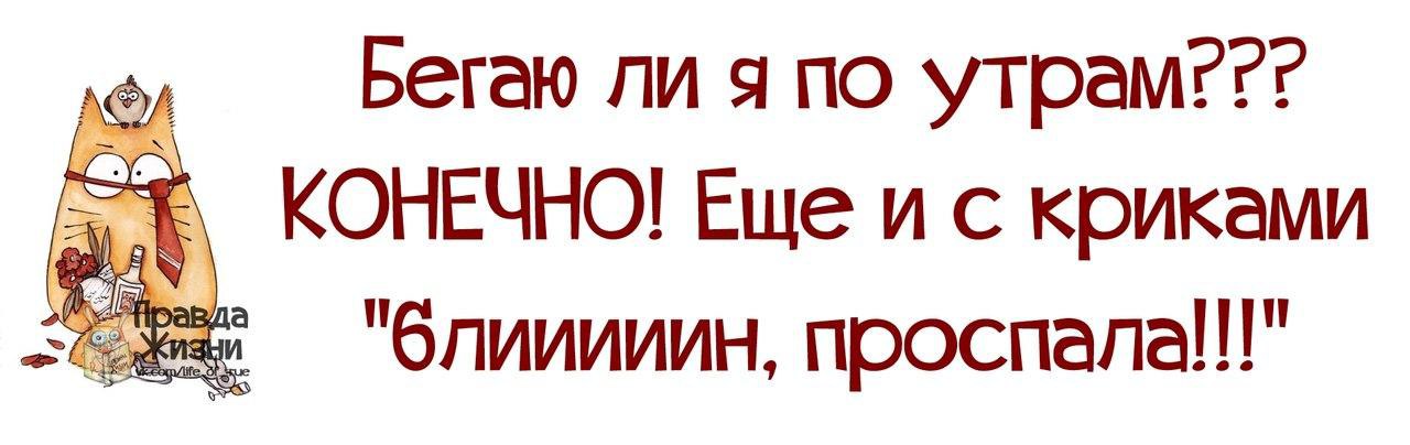 Картинки с утра на работу прикольные