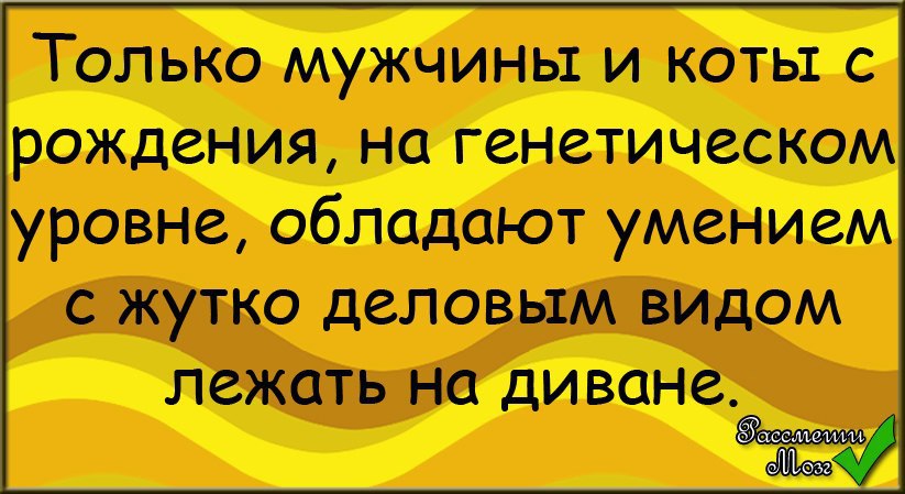 Смех да и только картинки с надписями прикольные