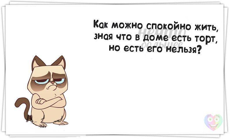 Как можно спокойно жить зная что в доме есть торт но есть его нельзя