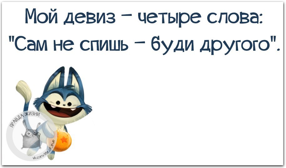 Сам не спишь буди другого картинки прикольные