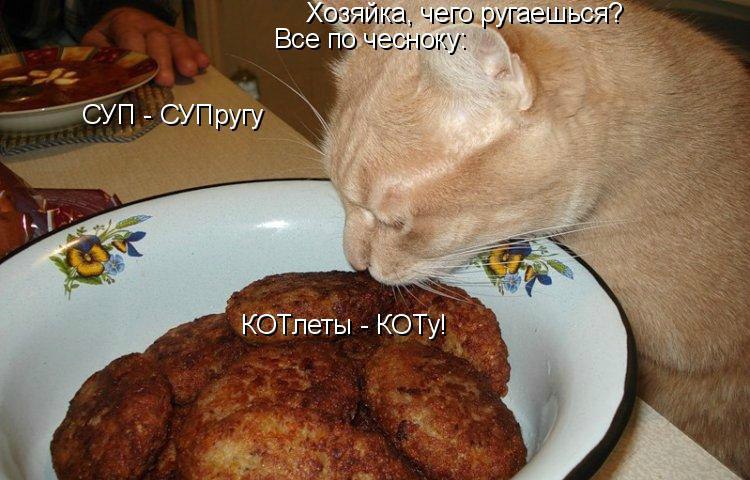 Не все коту пирог