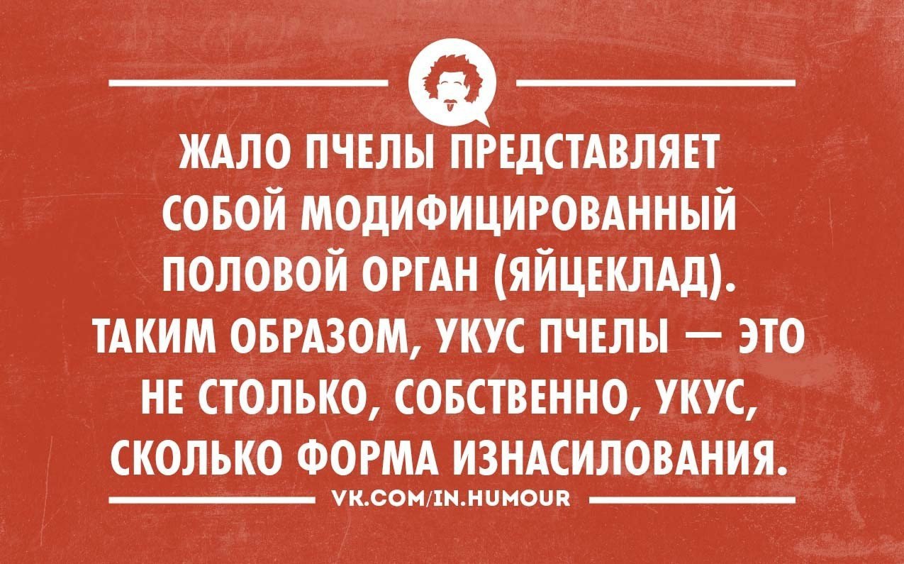 Юмор 3. Много интеллектуальный юмор. Форма интеллектуального юмора. Интеллектуальный юмор Геншин. Бесит когда ты набираешь 8 кг для роли.