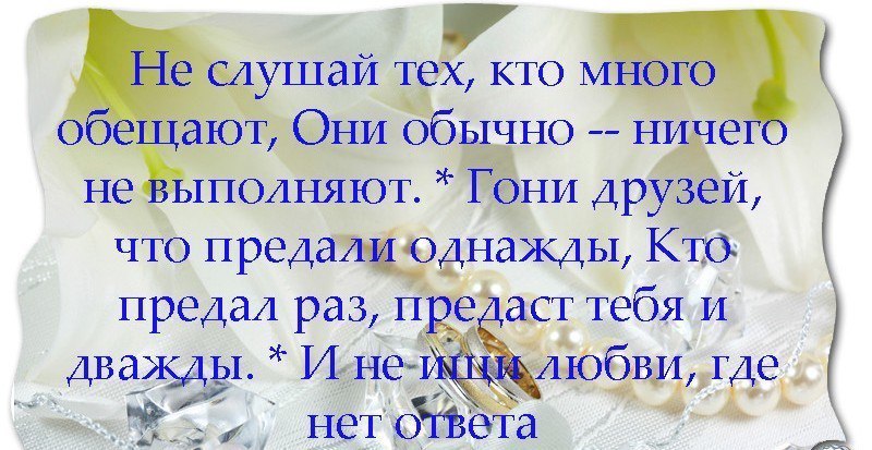 Предатель не верю тебе читать