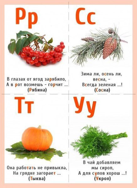 Проект азбука растений