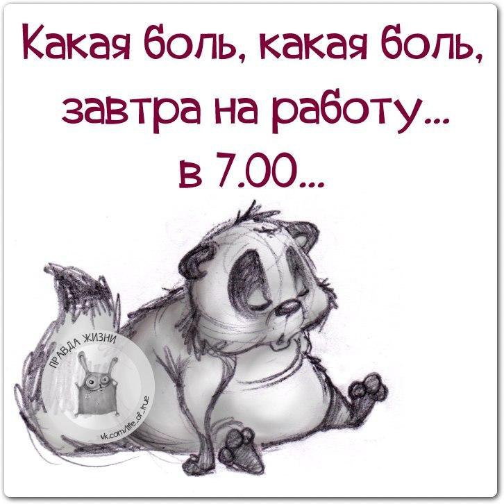 Ну что завтра на работу картинки приколы