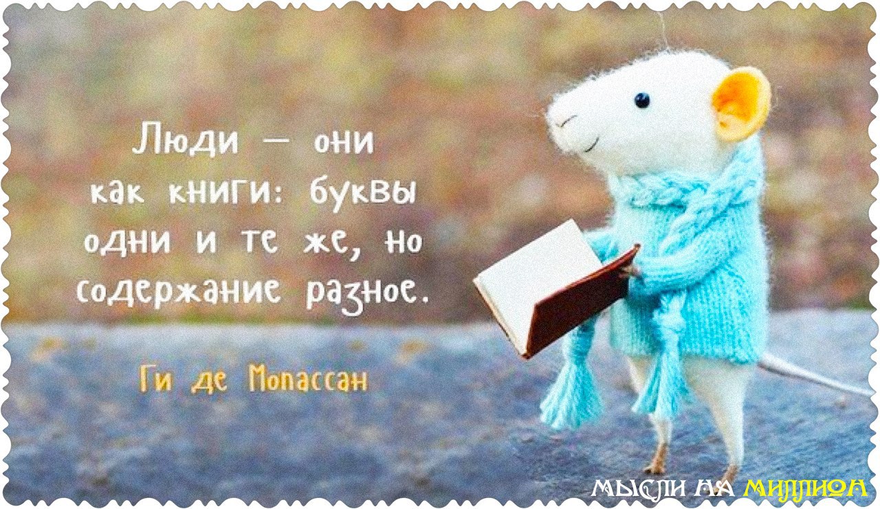 Люди как книги одних хочется прочитать до конца других закрываешь на первой странице картинки