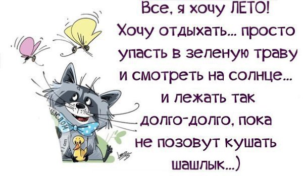 днём рождения прикольные картинки хочу скорее лето обладает