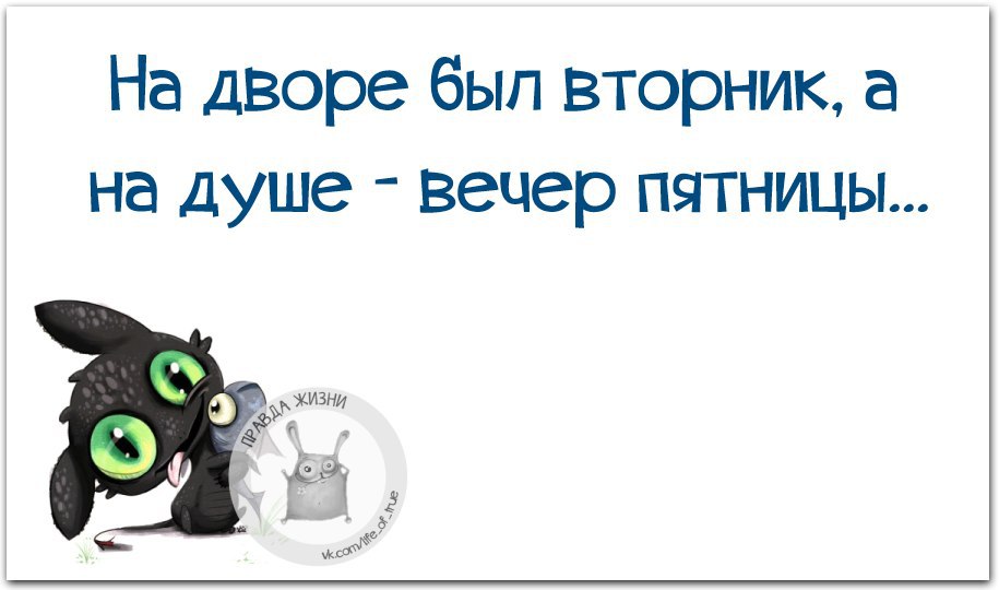 Картинки про вторник. Шутки про вторник. Прикольные фразы про вторник. Фразы про вторник смешные. Вторник цитаты.