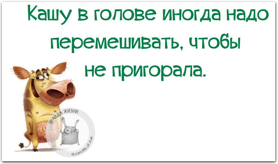 Кашу в голове иногда надо перемешивать чтобы не пригорала картинки